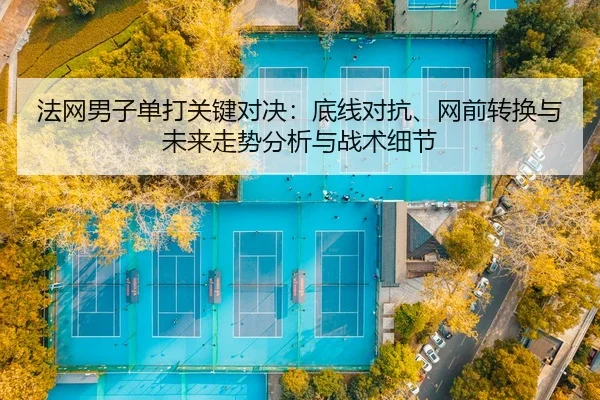 fa-wang-nan-zi-dan-da-guan-jian-dui-jue-di-xian-dui-kang-wang-qian-zhuan-huan-yu-wei-lai-zou-shi-fen-xi-yu-zhan-shu-xi-2-140.jpg